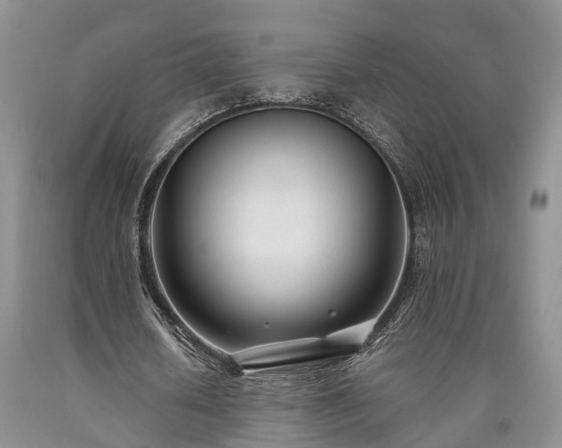 X0000090480626200707201416