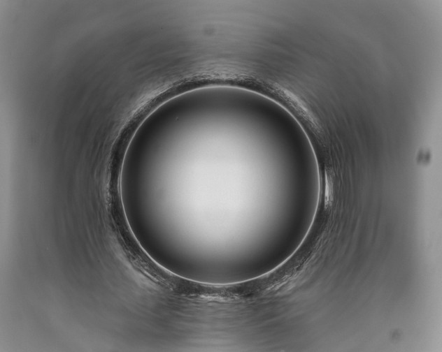 X0000090480627200707201416