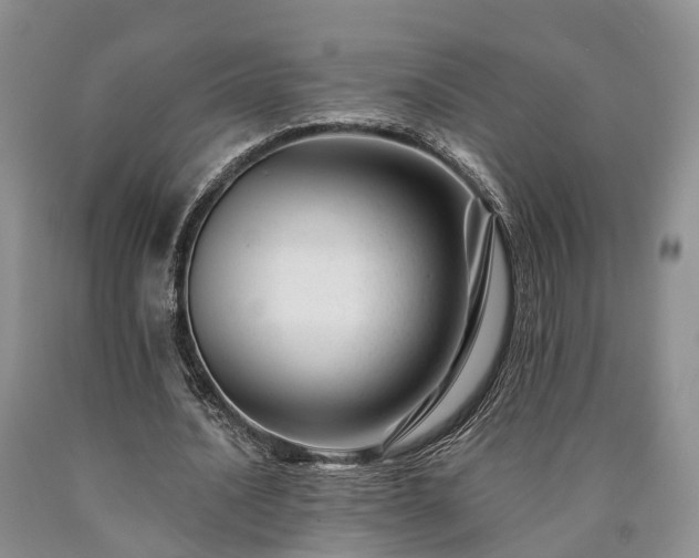 X0000090480628200707201416