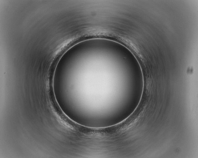 X0000090480629200707201416
