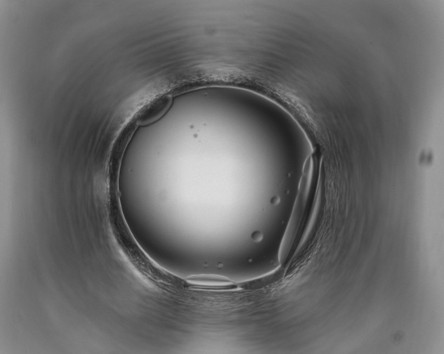 X0000090480630200707201416