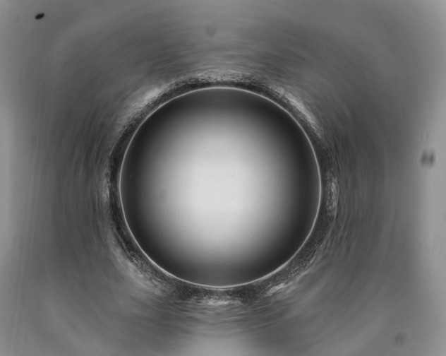 X0000090480631200707201416