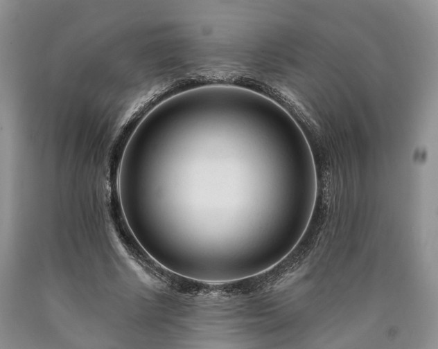 X0000090480634200707201416