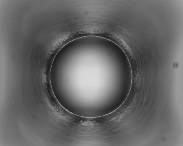 X0000090480635200707201416