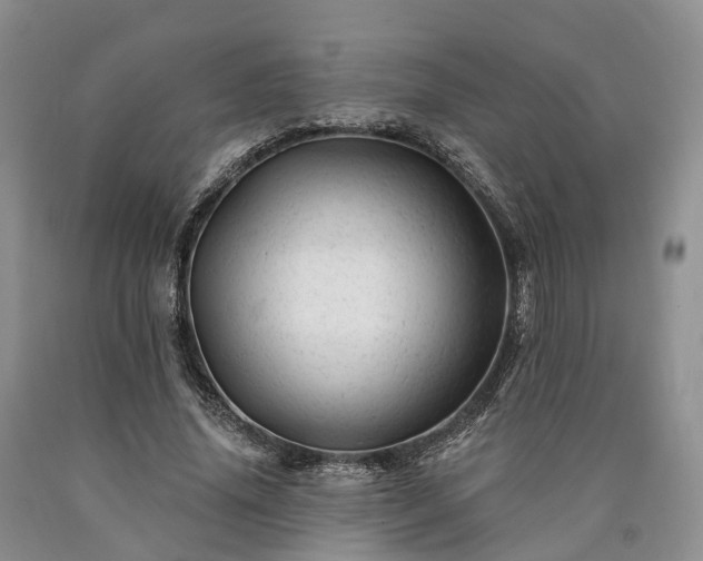 X0000090480636200707201416