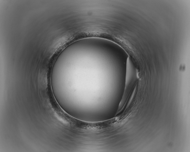 X0000090480638200707201416