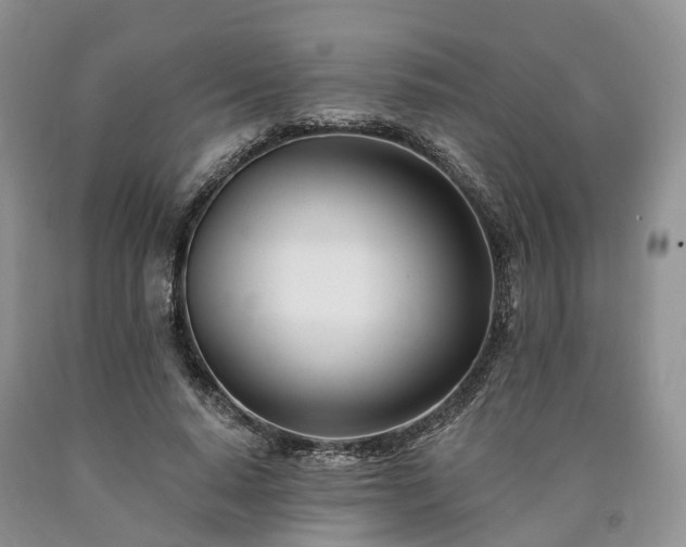 X0000090480640200707201416