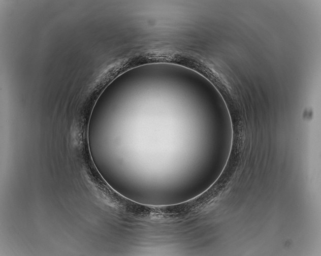 X0000090480641200707201416