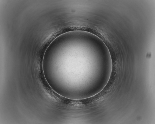 X0000090480642200707201416