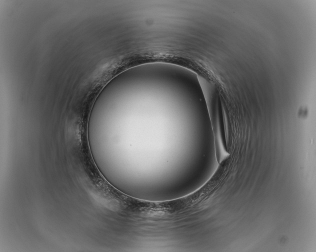 X0000090480643200707201416