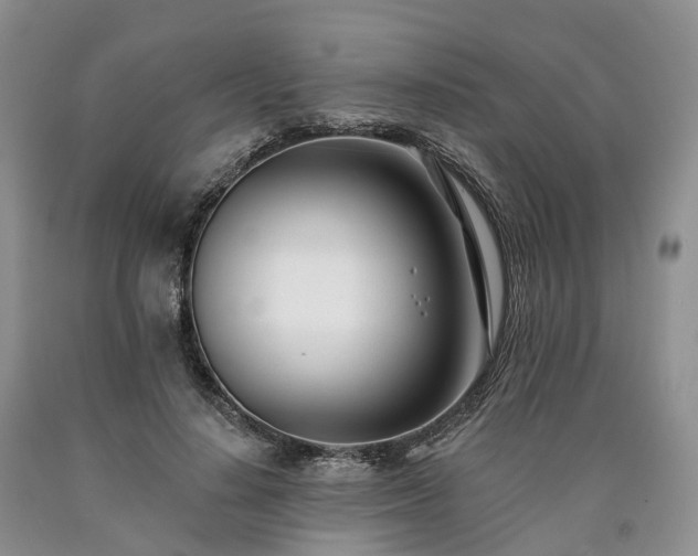 X0000090480644200707201416
