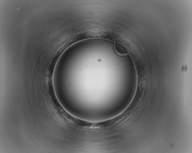 X0000090480647200707201416