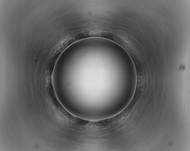 X0000090480648200707201416