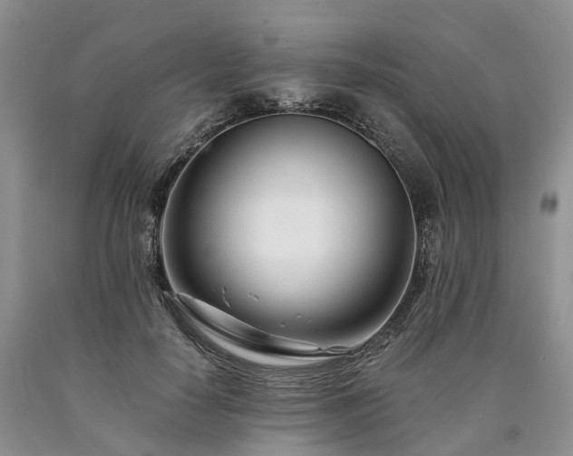 X0000090480650200707201416