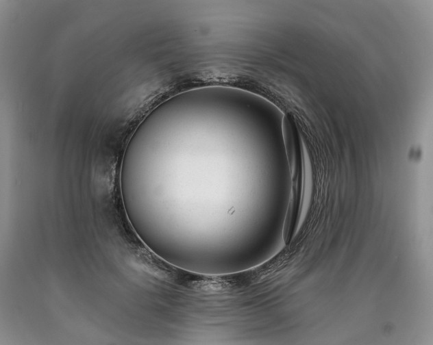X0000090480652200707201416