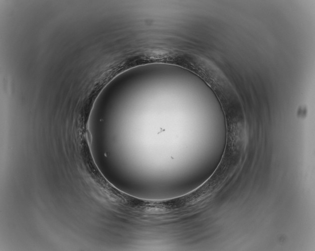 X0000090480653200707201416