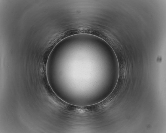 X0000090480654200707201416
