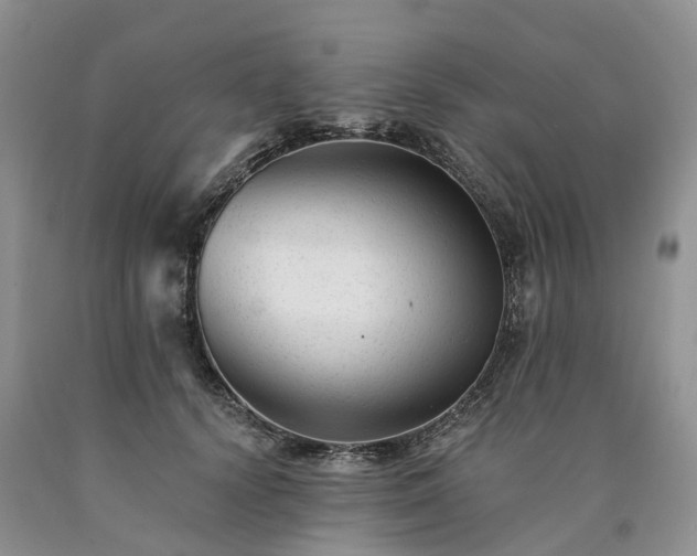 X0000090480656200707201416