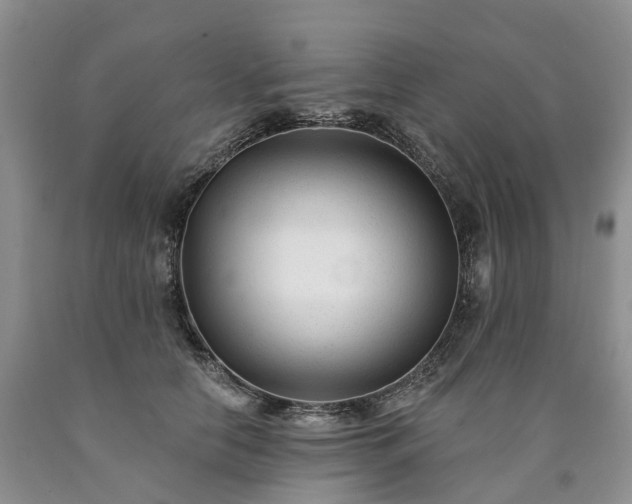 X0000090480658200707201416