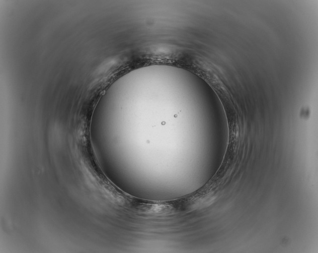 X0000090480663200707201416