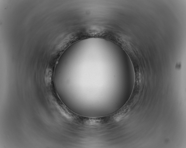 X0000090480664200707201416