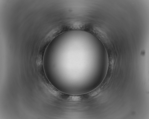 X0000090480665200707201416