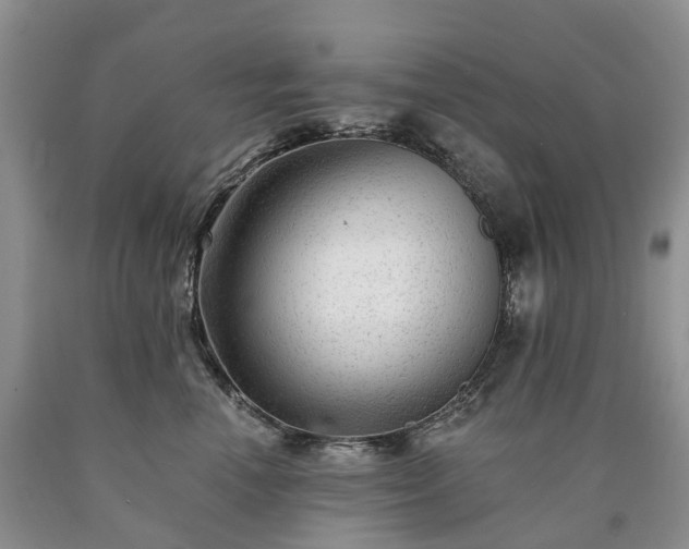 X0000090480666200707201416