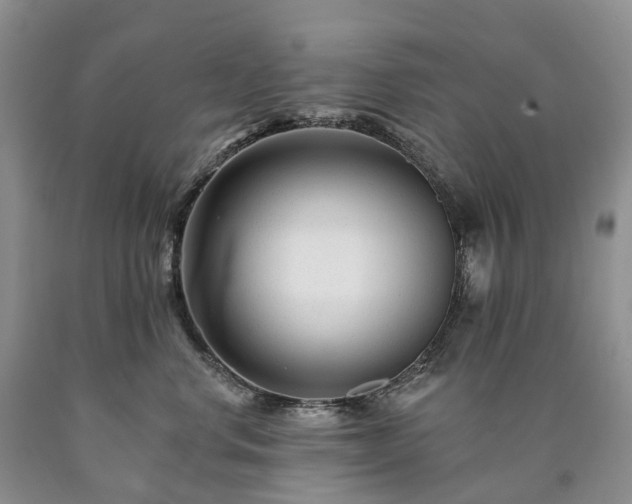 X0000090480668200707201417