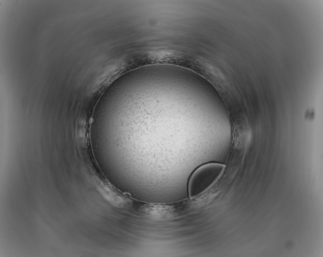 X0000090480670200707201417