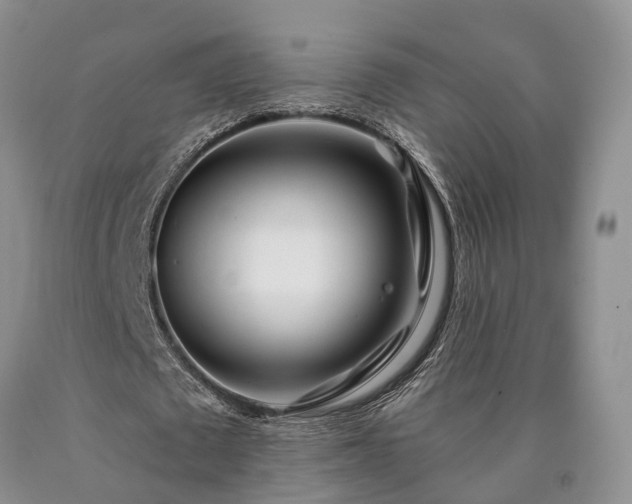X0000090480673200707201416