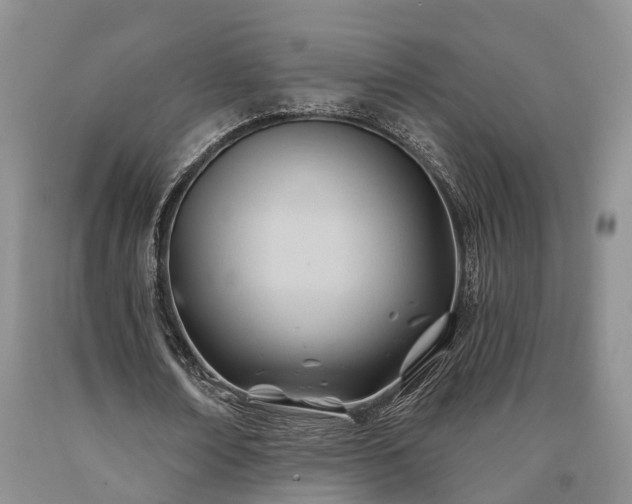 X0000090480674200707201416