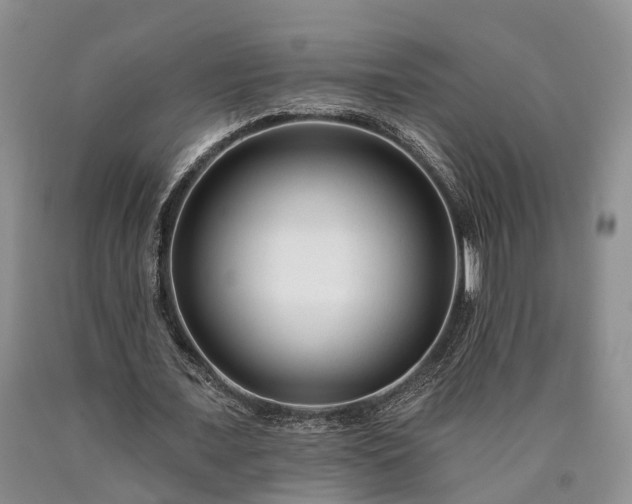 X0000090480675200707201416