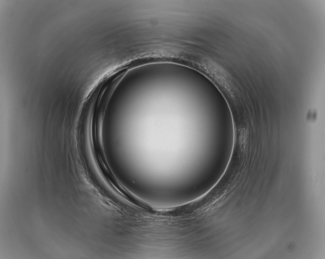 X0000090480676200707201416