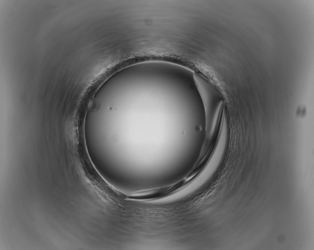 X0000090480680200707201416