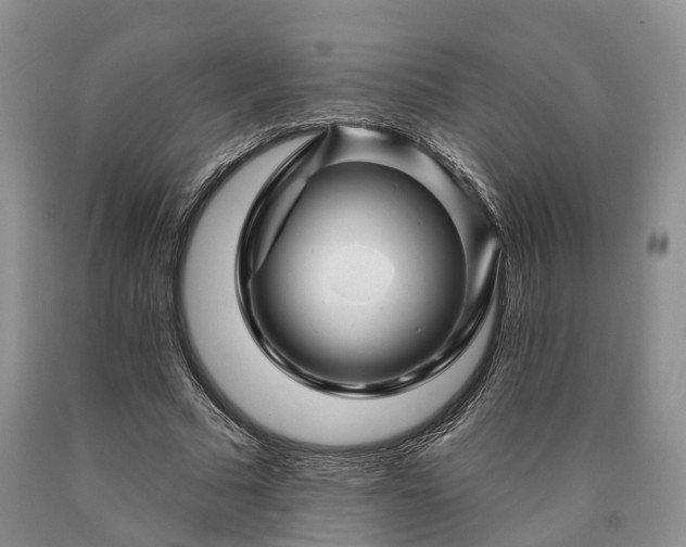 X0000090480681200707201416