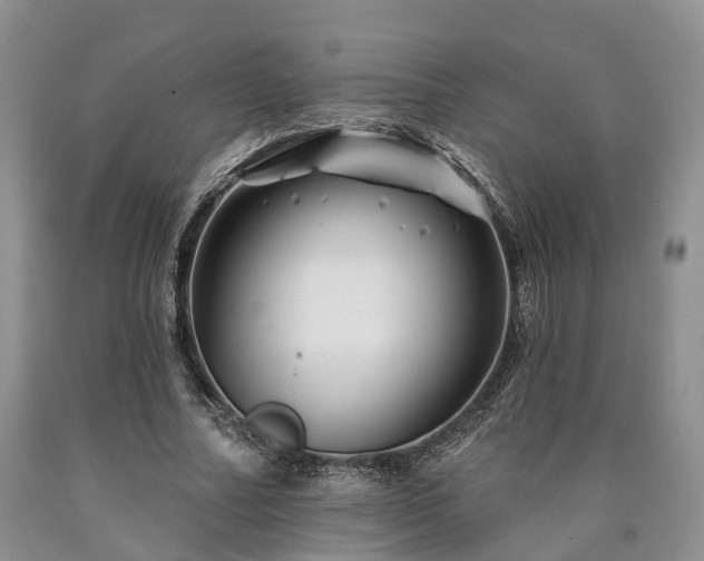 X0000090480682200707201416