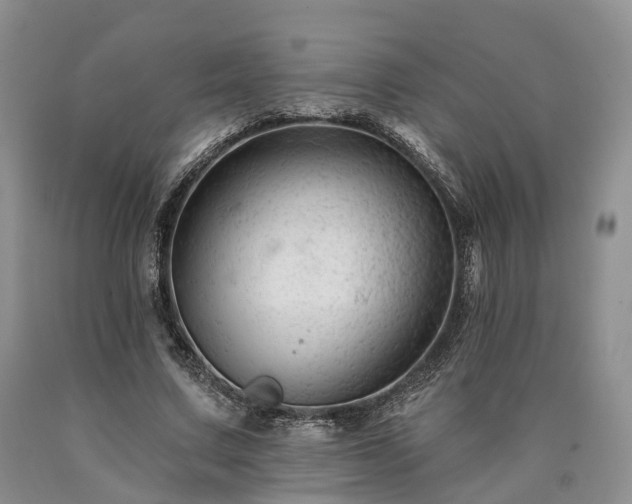 X0000090480683200707201416