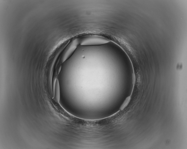 X0000090480684200707201416