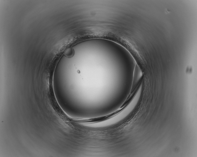 X0000090480685200707201416