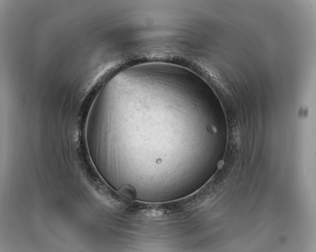 X0000090480687200707201416