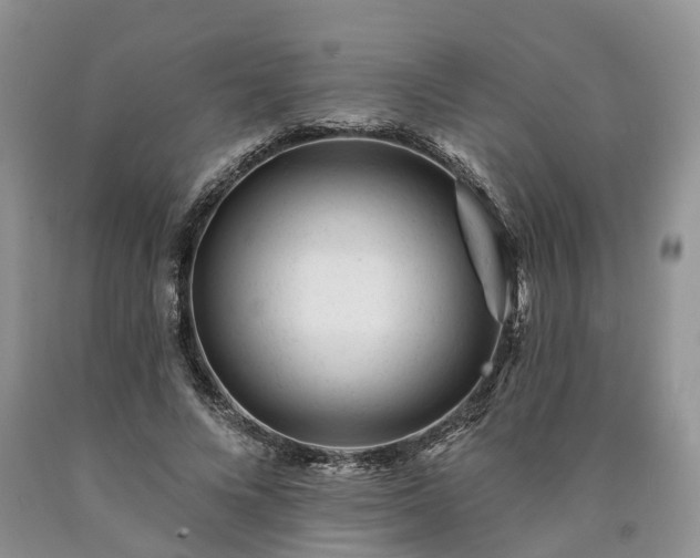 X0000090480688200707201416