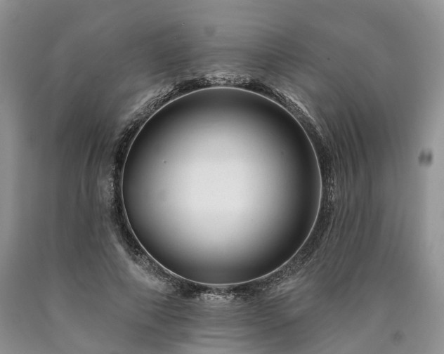 X0000090480690200707201416
