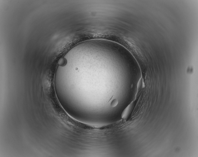 X0000090480691200707201416