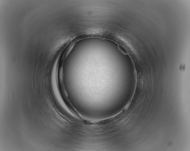 X0000090480692200707201416