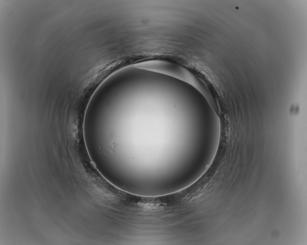 X0000090480693200707201416