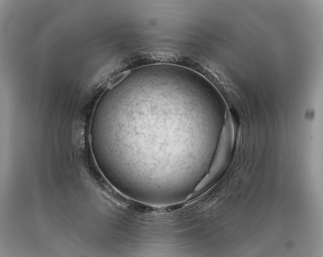 X0000090480696200707201416