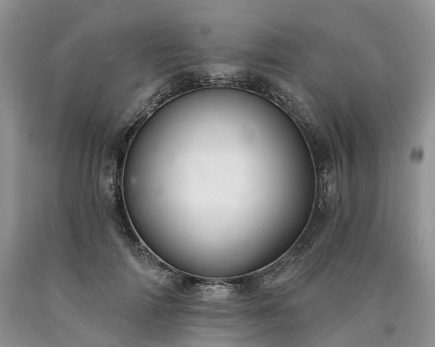X0000090480698200707201416