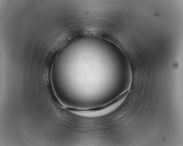 X0000090480699200707201416