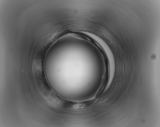 X0000090480700200707201416