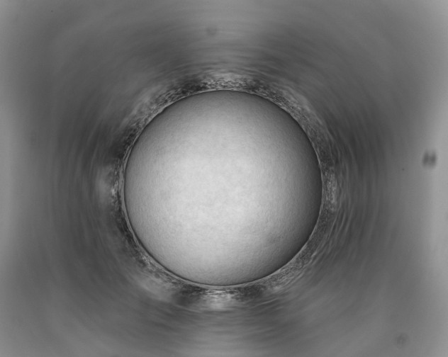 X0000090480701200707201416
